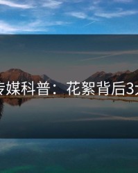 蜜桃传媒科普：花絮背后3大误区