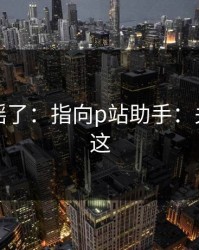 别再传谣了：指向p站助手：关键点在这