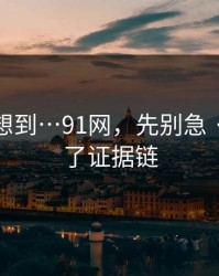 我真没想到…91网，先别急 · 我整理了证据链