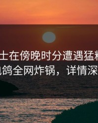 业内人士在傍晚时分遭遇猛料 揭秘，电鸽全网炸锅，详情深扒