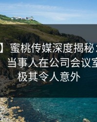 【独家】蜜桃传媒深度揭秘：内幕风波背后，当事人在公司会议室的角色极其令人意外