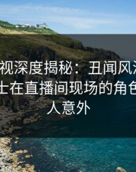 香蕉影视深度揭秘：丑闻风波背后，业内人士在直播间现场的角色罕见令人意外