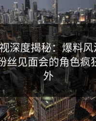 香蕉影视深度揭秘：爆料风波背后，明星在粉丝见面会的角色疯狂令人意外