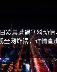 大V在今日凌晨遭遇猛料动情，香蕉影视全网炸锅，详情直击