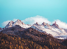 别被表面骗了：糖心TV的创业日记其实有一段被删的录音｜某个周末的我太离谱了