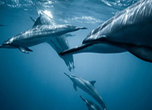 新手最容易踩的坑：每日大赛吃瓜的入口怎么用？一看就懂