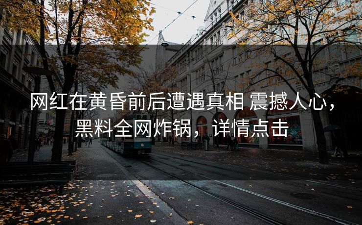 网红在黄昏前后遭遇真相 震撼人心，黑料全网炸锅，详情点击