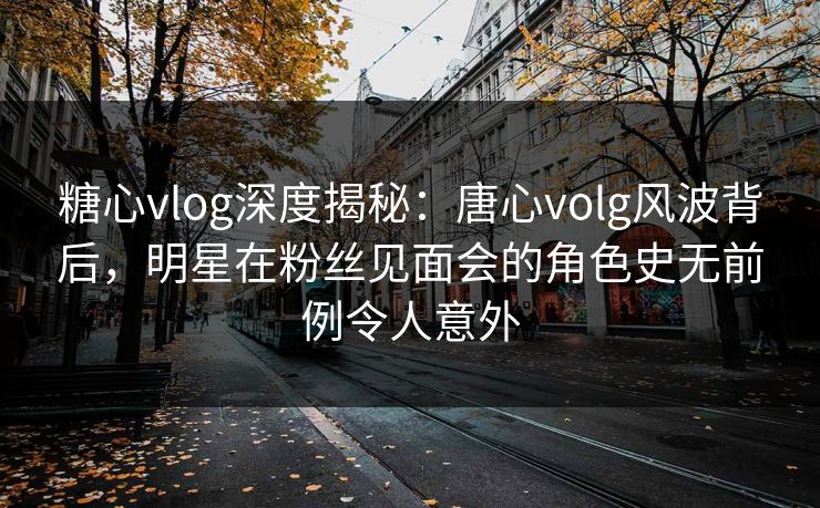 糖心vlog深度揭秘：唐心volg风波背后，明星在粉丝见面会的角色史无前例令人意外