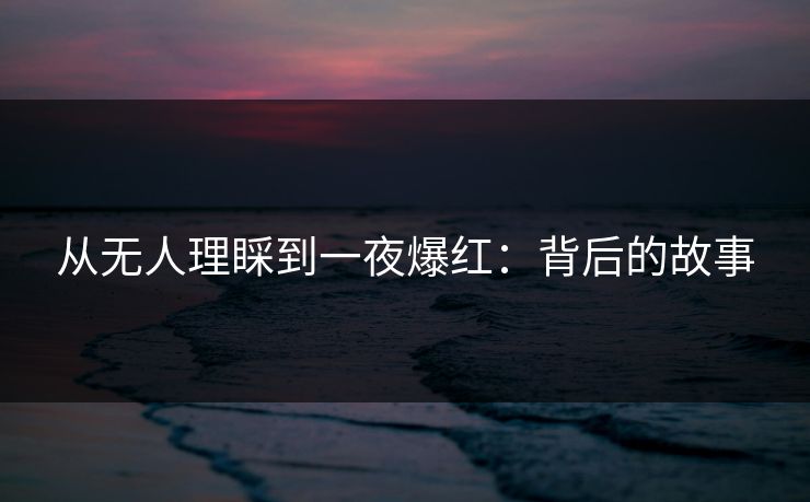 从无人理睬到一夜爆红：背后的故事