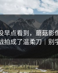 我后悔没早点看到，蘑菇影像把省钱挑战拍成了温柔刀｜别学我