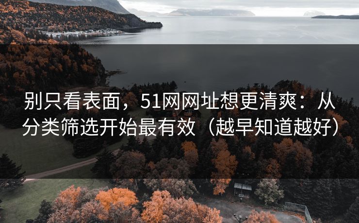 别只看表面，51网网址想更清爽：从分类筛选开始最有效（越早知道越好）
