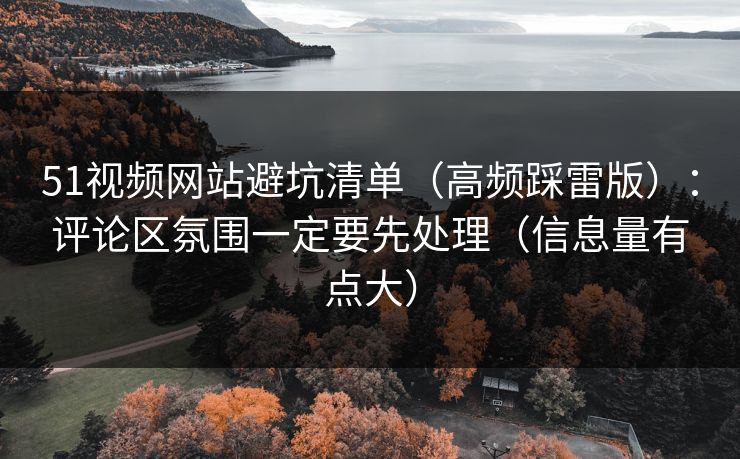 51视频网站避坑清单（高频踩雷版）：评论区氛围一定要先处理（信息量有点大）
